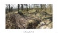 /album/fotogalerie-obrazky/mydlovar-2-jpg1/